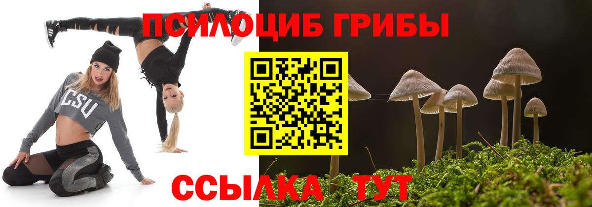 Псилоцибиновые грибы мицелий  Вход с VPN  Псилоцибиновые грибы мицелий  Семилуки 